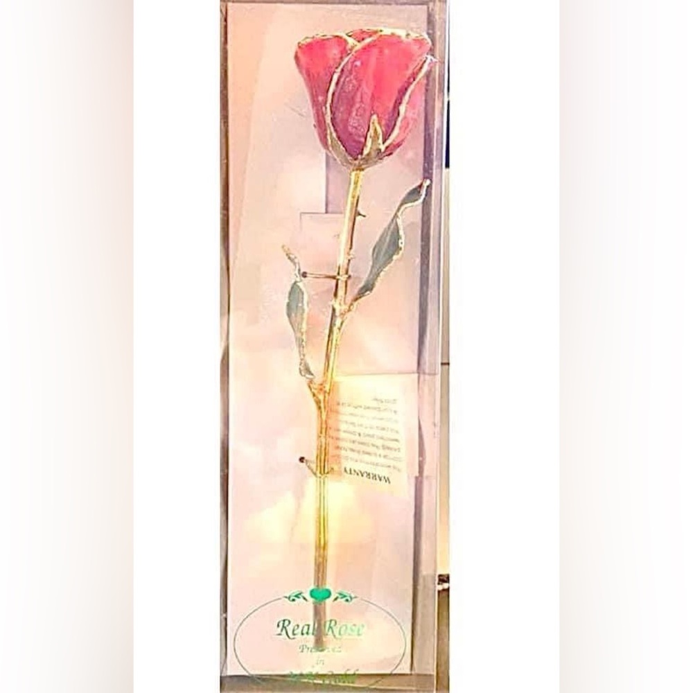 Nib Vintage Stock 24k Gold Dipped Real Red Long S… - image 1